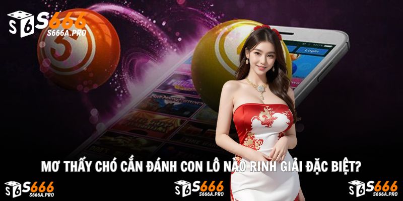 Mơ chó cắn, con lô may mắn nào nên chọn?