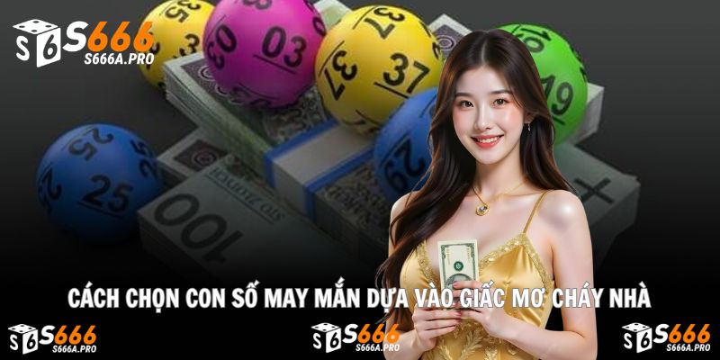 Từ giấc mơ đến con số trúng lớn không xa